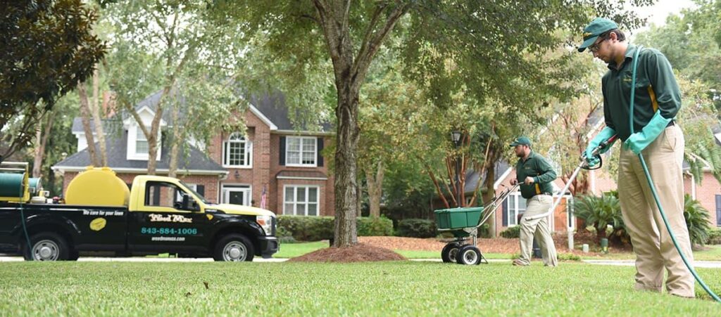 Lawn Care Costs
