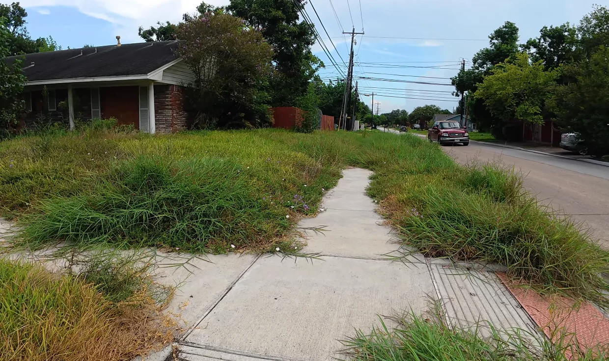 aiken lawn care before — neglected yard with overgrown shrubs blocking home front