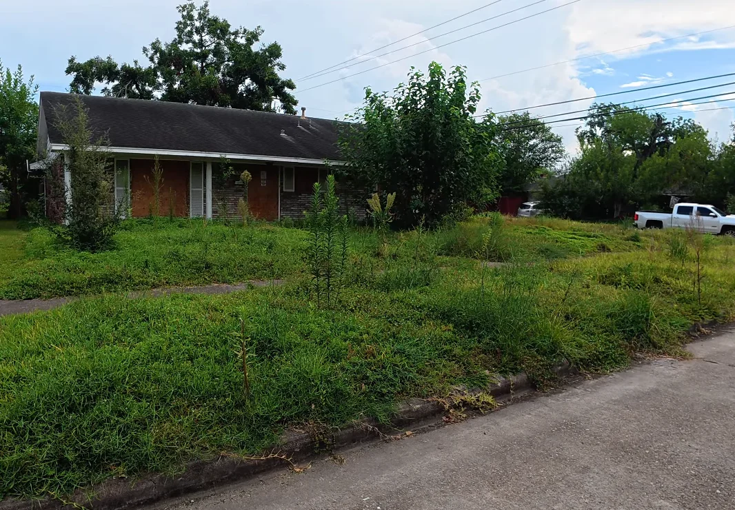 aiken lawn service before — severely neglected corner lot with mixed weeds and dead patches