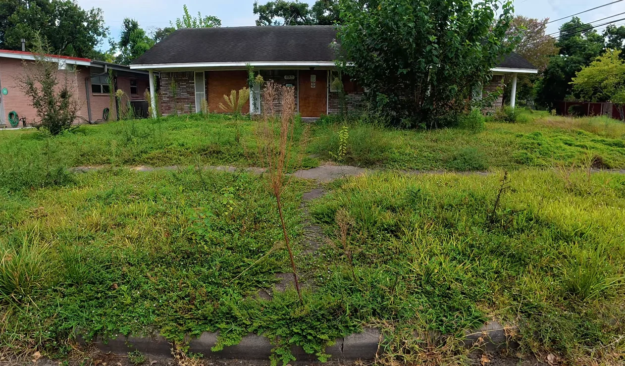lawn care aiken sc before — severely overgrown yard with weeds and tall grass