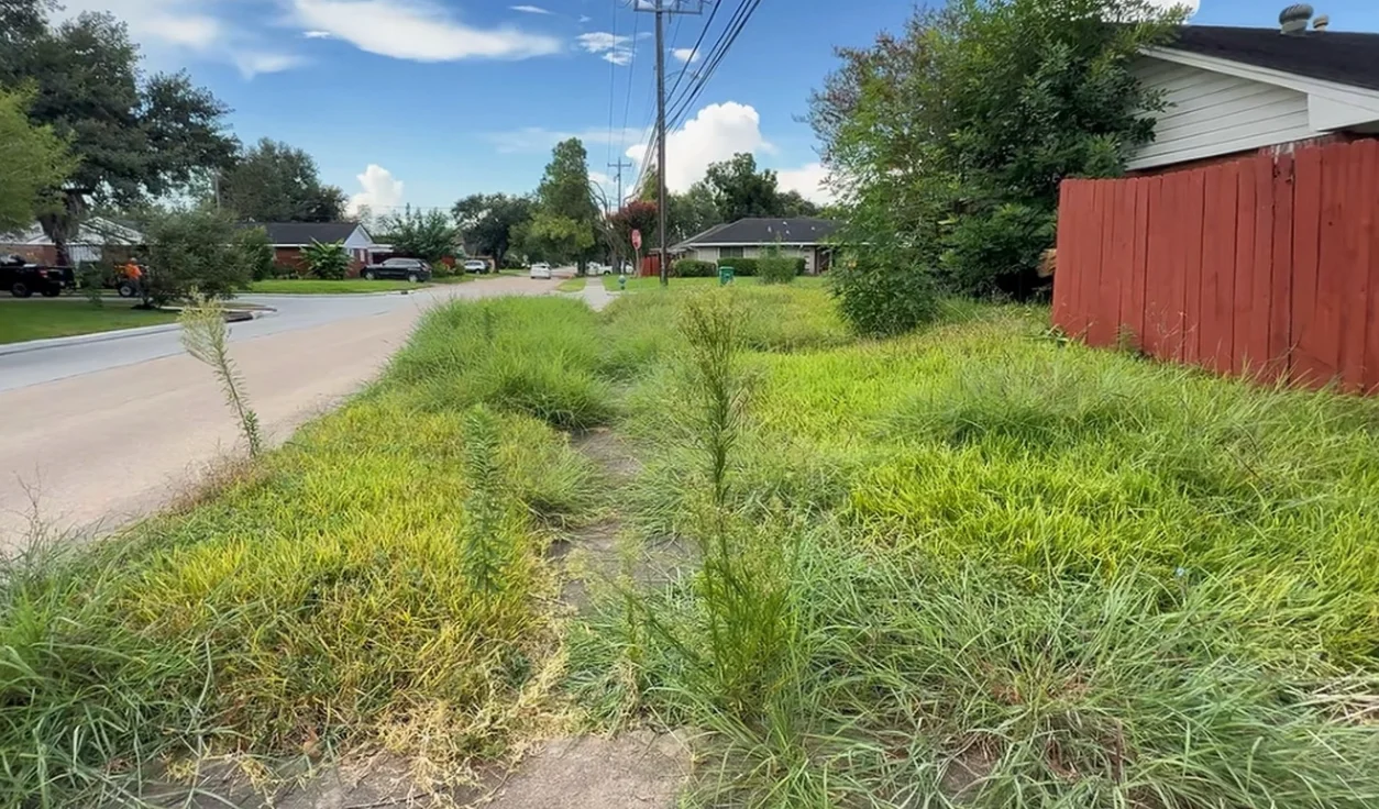 lawn maintenance aiken sc before — tall uncut grass and weeds taking over property