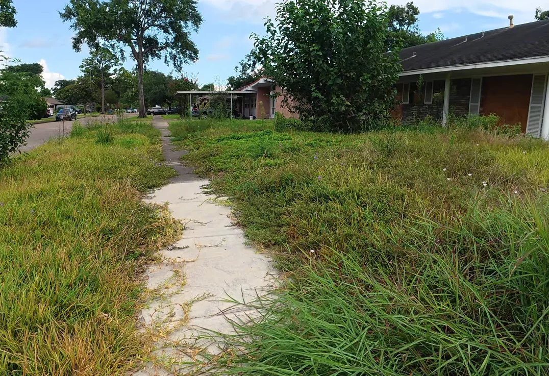 lawn services aiken before — unmaintained yard with knee-high weeds and weed-filled beds