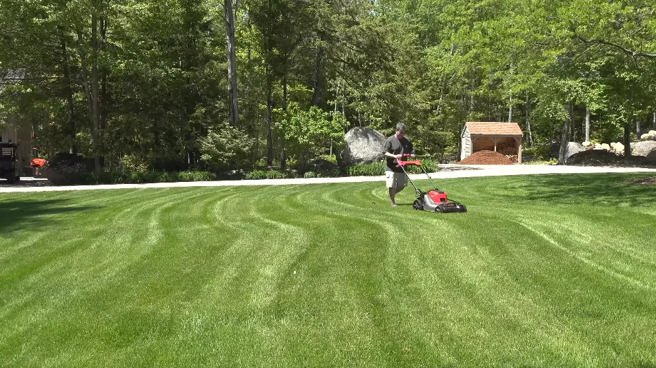 lawn care aiken sc results — aiken lawn care gallery showing clean maintained yard after professional treatment