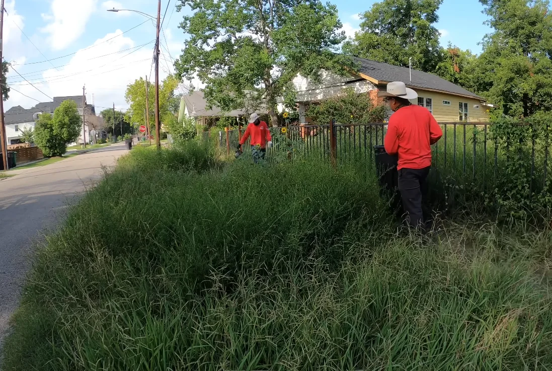 lawn care aiken sc fire ant treatment — aiken lawn care service technician applying broadcast treatment
