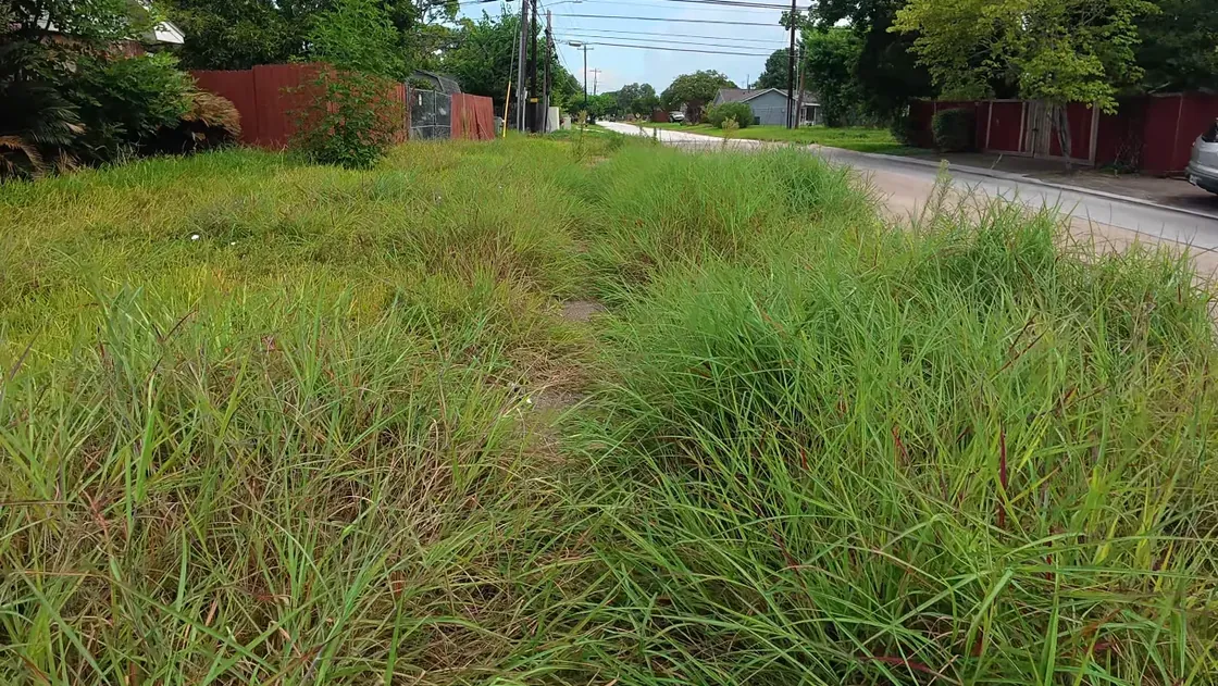 lawn care edgefield sc — maintained residential lawn in Edgefield County showing professional lawn service results