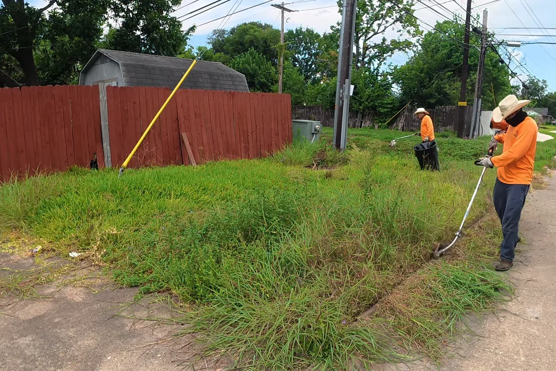 lawn care services aiken sc result — green dense turf after core aeration and overseeding program in Aiken SC