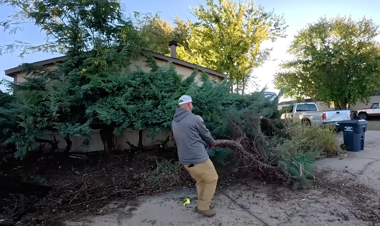 lawn care services aiken sc cleanup — crew clearing overgrown shrubs and debris during yard restoration